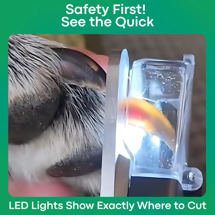 2 in 1 Pet Nail Clipper with LED Light for Dogs and Cats