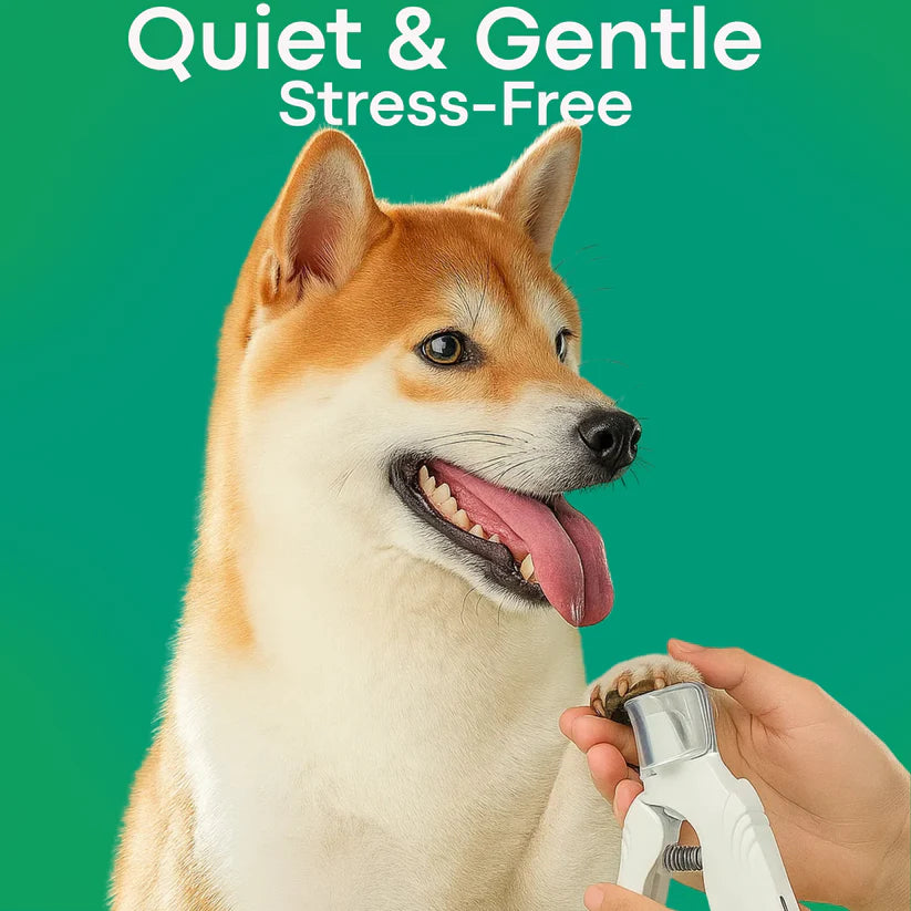 2 in 1 Pet Nail Clipper with LED Light for Dogs and Cats