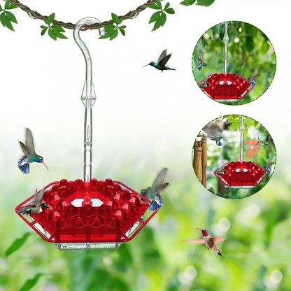 💥Last Day Sale 50% OFF🎁 Hanging Outdoor Hummingbird Feeder🐦