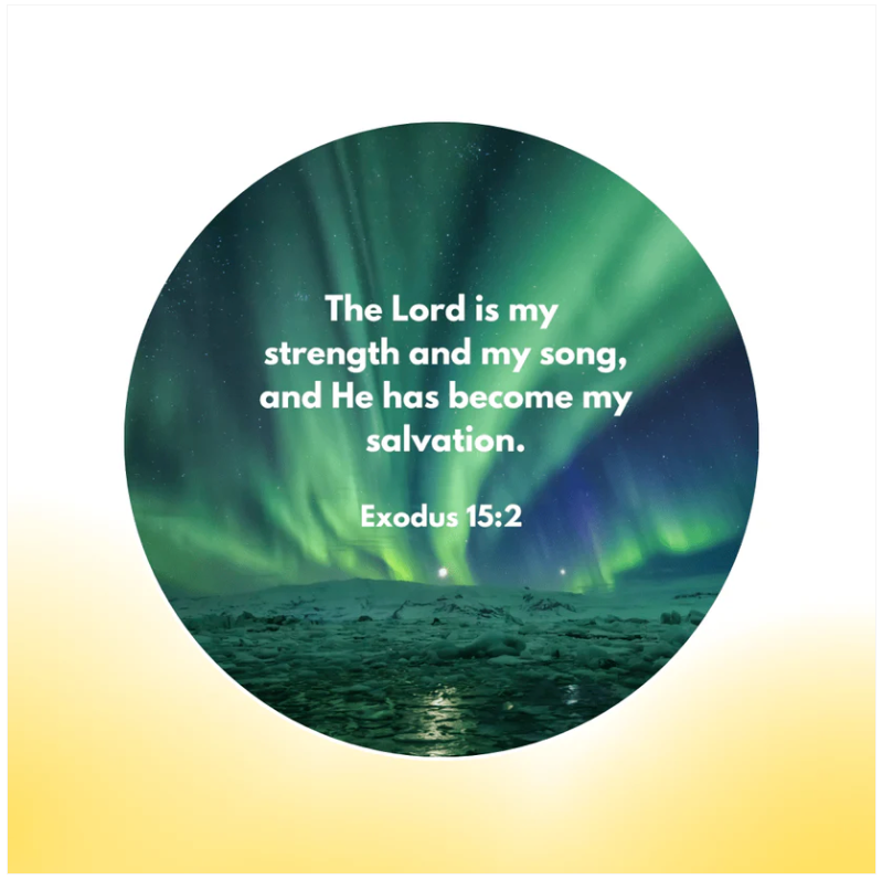 Cavinic™ Bible Verse Projector (6 Free Scripture Discs Included)